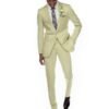 IMG_0390.jpg MINT SUIT